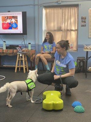 Trick class for Divine Canines Therapy Dogd!