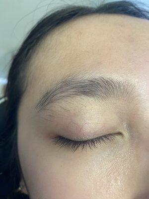 my brows before