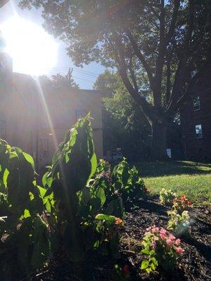 Courtyard