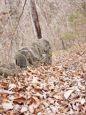 When in doubt, take a photo of a rock