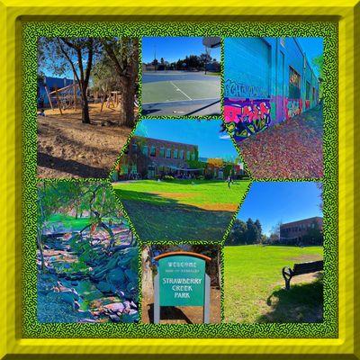 Montage of images from Strawberry Creek Park