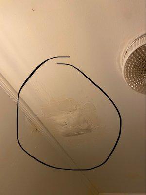 Bathroom ceiling