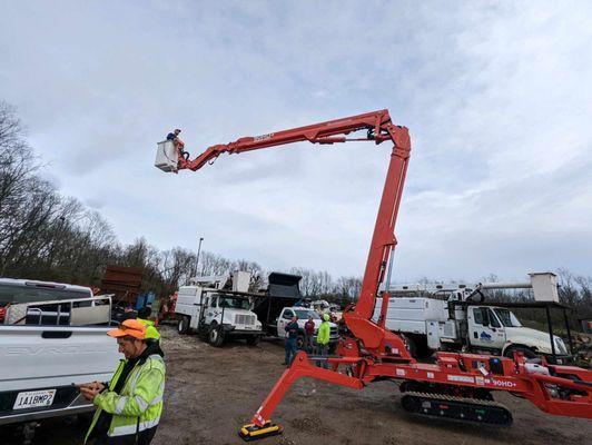 Arlington Tree Service