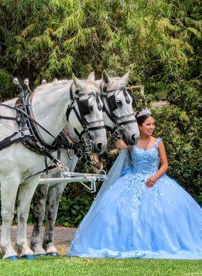 Dream Catchers Carriages