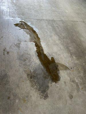 Oil leak spill