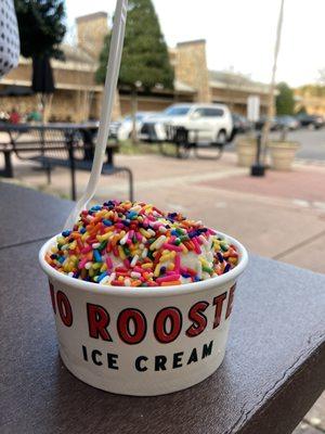 Sea Salt Chip cookie dough with rainbow sprinkles!