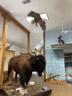 Indoor nature center where you can learn, rest and interact.