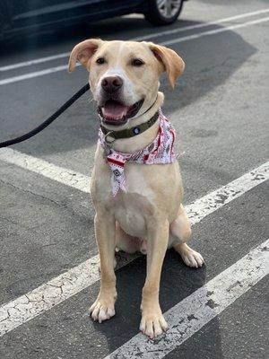 Clean  and happy boy!