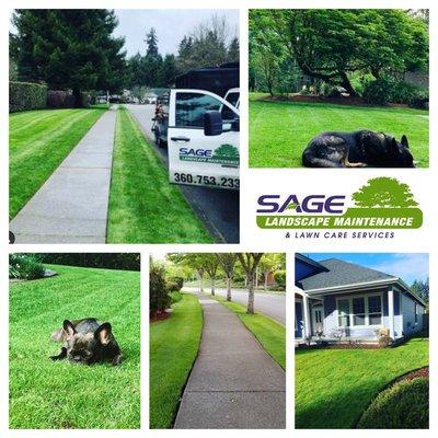 Looking for a lawn care program?  Call us! #landscape