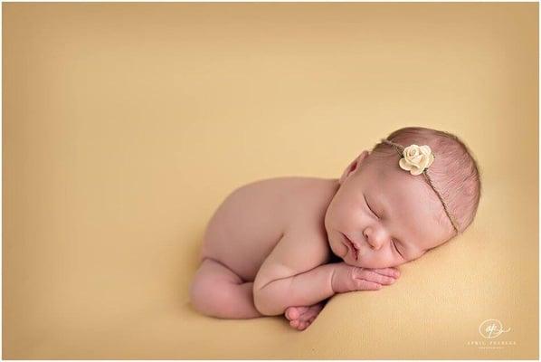 Newborn Girl Posed Studio Session