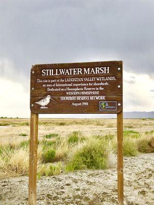 @ Stillwater National Wildlife Refuge - 7/26/20