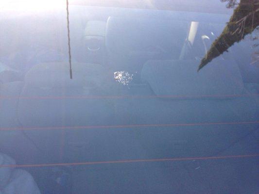 Bird splat on rear window after Express carwash.