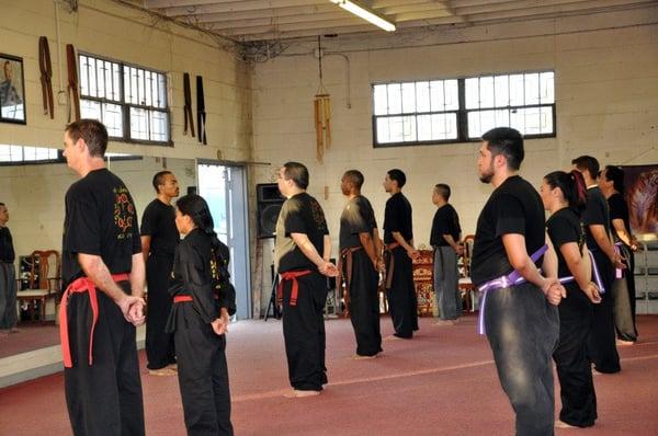 Focus, Discipline, Respect, all key aspects of Hei Long Shou Shu Kung Fu