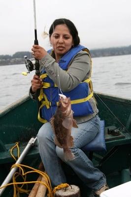 Brown rock cod caught from our boat