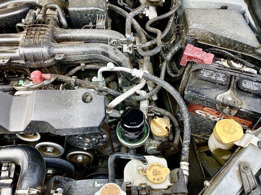 Coolant sprayed all over the driver's side engine bay.