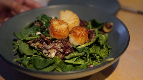 Scallop Salad (has bacon)