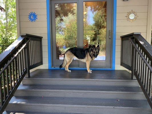 Back porch steps