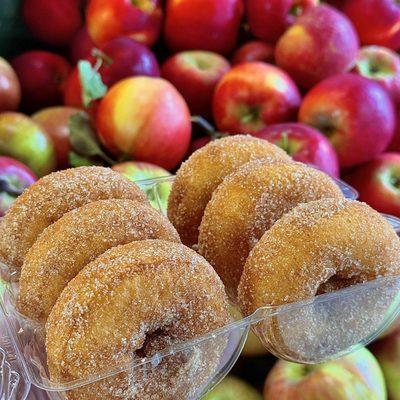 Apple Cider Donuts