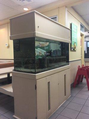 Fish tank.