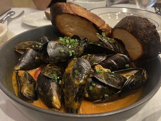 Steamed Mussels - Calabrian chili  hits so very right. Balance on this is truly fantastic. Not too salty not too spicy, a must try imo.