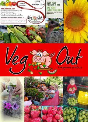 Shares available: www.vegoutpa.com