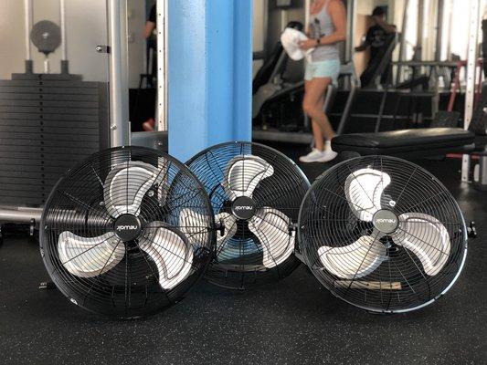 NEW FANS DELIVERED TODAY! 6/20/18 nothing like circulating the fresh ocean breeze! Know we have a fan for ever corner of the floor!