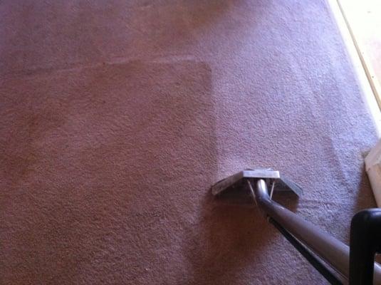 Carpet Cleaning