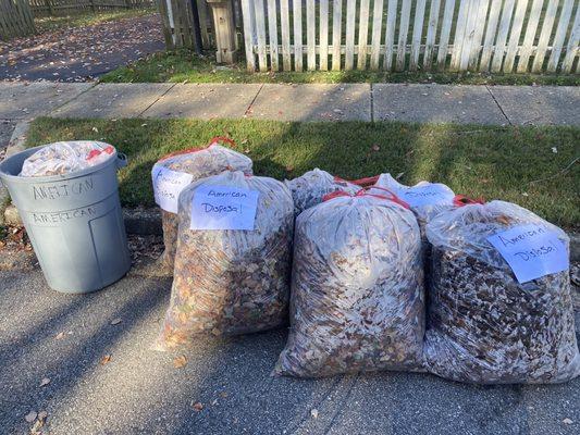 Uncollected yard waste.