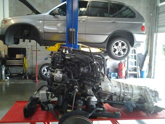 From oil changes to engine replacements-we do it all, at the best possible price.