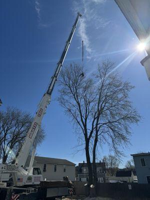 Tommy Tree Service & Yard Expansion