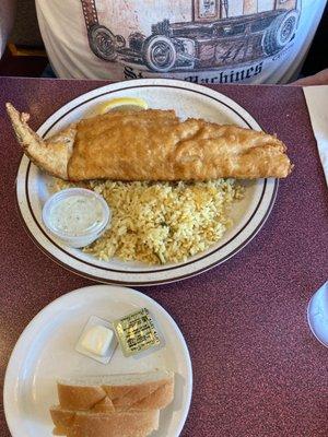 Beer batter fish fry