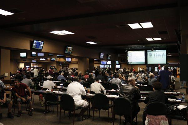 Horse Racing Off Track Betting