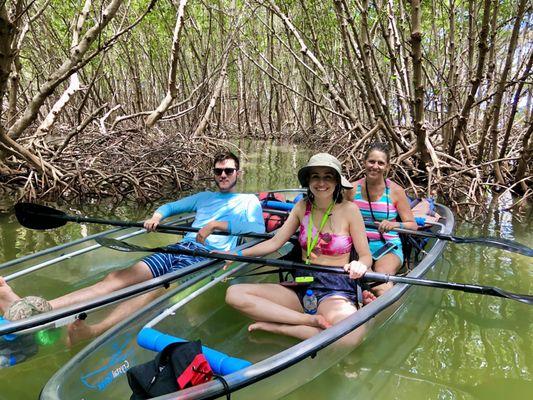 Mangroves in St. Pete