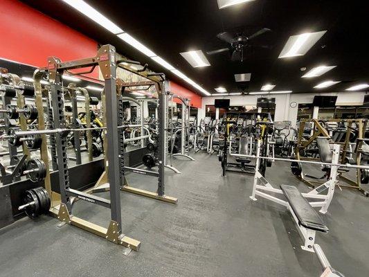 Free-Weight Area Squat Rack