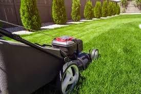 Let CedarSaint maintain your lawn and hedges