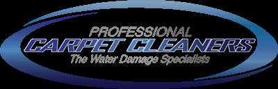 Professional Carpet Cleaners