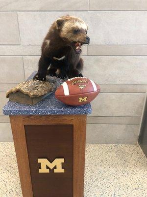 Display inside Schembechler Hall