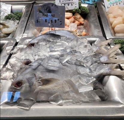 Cinders Gourmet Market has fresh fish