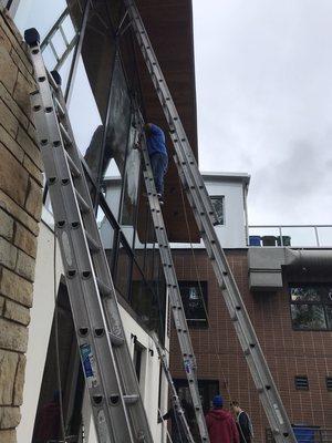 extreme window cleaning!!!!