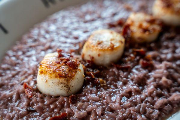 Risotto Amarone