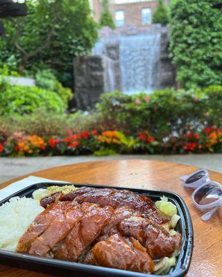 Roasted duck and chicken over rice. You can take out and eat it in a pocket park nearby. There are several lovely ones in the neighborhood.