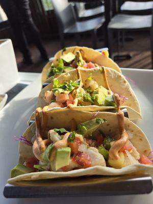 Trio of Seafood Tacos