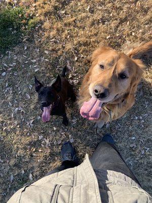 Bubba and Ferda enjoy off leash hikes!