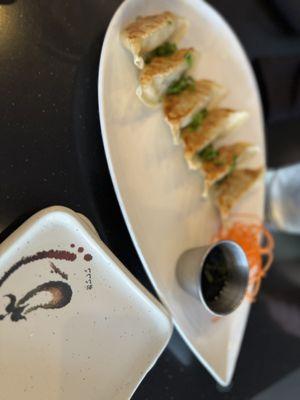 Our appetizer, an order of Gyoza. Fresh and tasty.