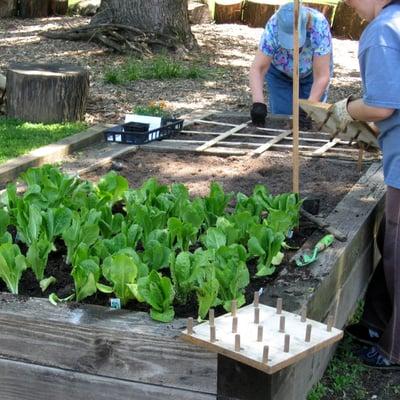 Planting in the Community Garden.