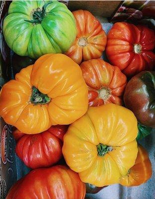 Heirloom Tomatoes!