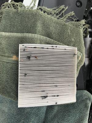 This was the car filter after we found the mouse. This was the filter that came with the 'new' car.