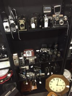 Lots of vintage cameras for sale!!