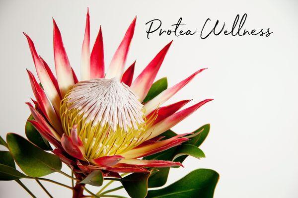 Protea Wellness