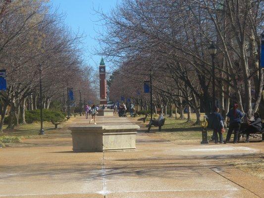 Saint Louis University is a beautiful campus!